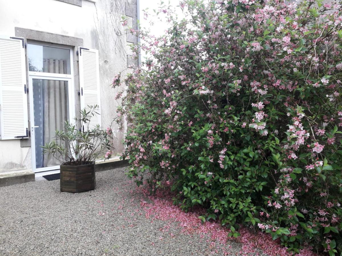 "Cosy Trendy & Chic" - Stayhome Quimper Dış mekan fotoğraf